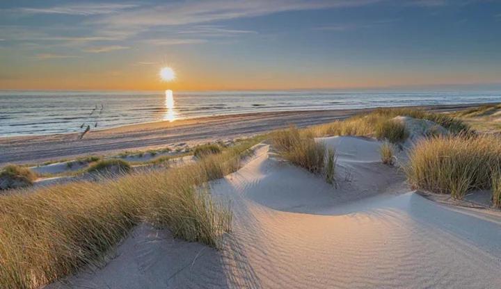 Bondi Beach Renesse Esterno foto